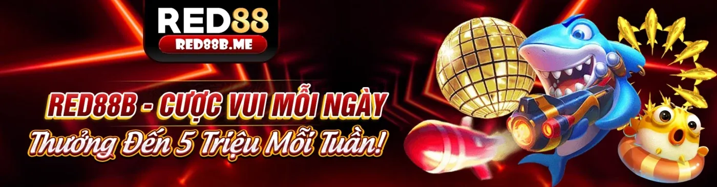 Hình ảnh tổng quan về c888 trang chủ chính thức, một nền tảng giải trí cá cược trực tuyến hàng đầu Việt Nam với các khuyến mãi hấp dẫn.