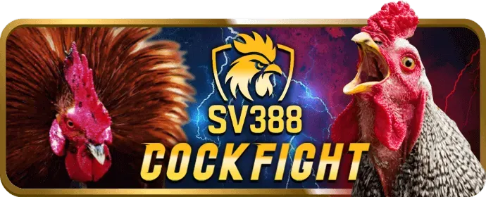 Chương trình VIP C888